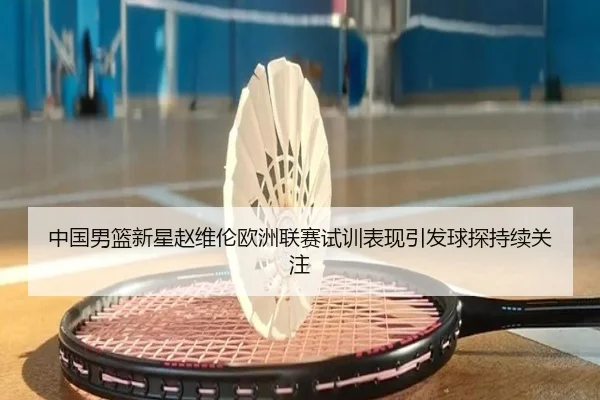 中国男篮新星赵维伦欧洲联赛试训表现引发球探持续关注