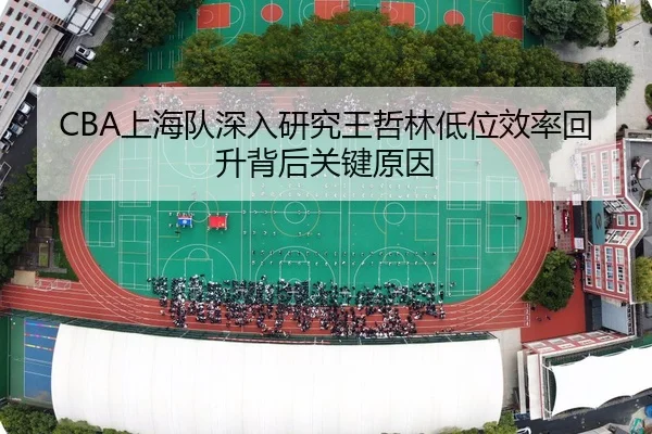 CBA上海队深入研究王哲林低位效率回升背后关键原因 | kaiyun